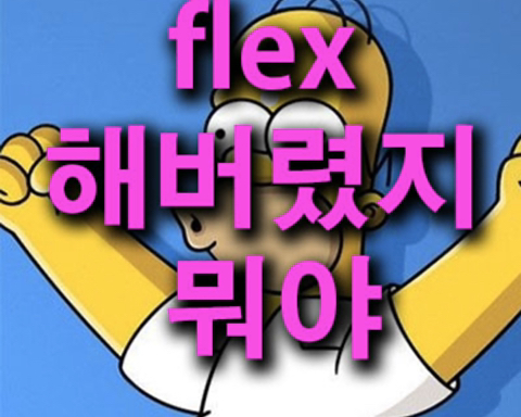 플렉스(FLEX) 이미지