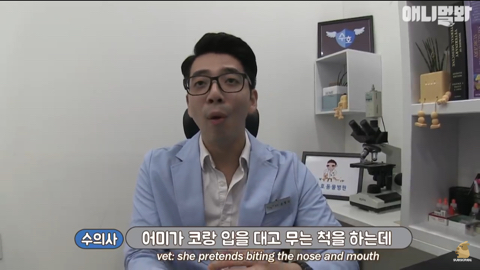 엄마가 차별한다는 비숑댕댕이,, | 인스티즈
