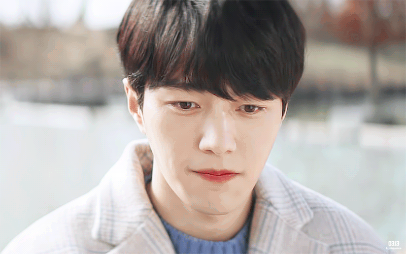 [어서와] 사람 아니고 고양이 X 강아지 아니고 사람.gif | 인스티즈