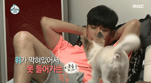 배우 성훈이 입양한 유기견 양희가 가지고 있던 트라우마 | 인스티즈