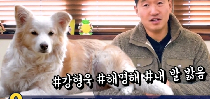 강아지 모르고 쳤을때 사과하는 방법.jpg | 인스티즈