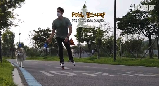 처음 보는 갱얼쥐 산책법 | 인스티즈