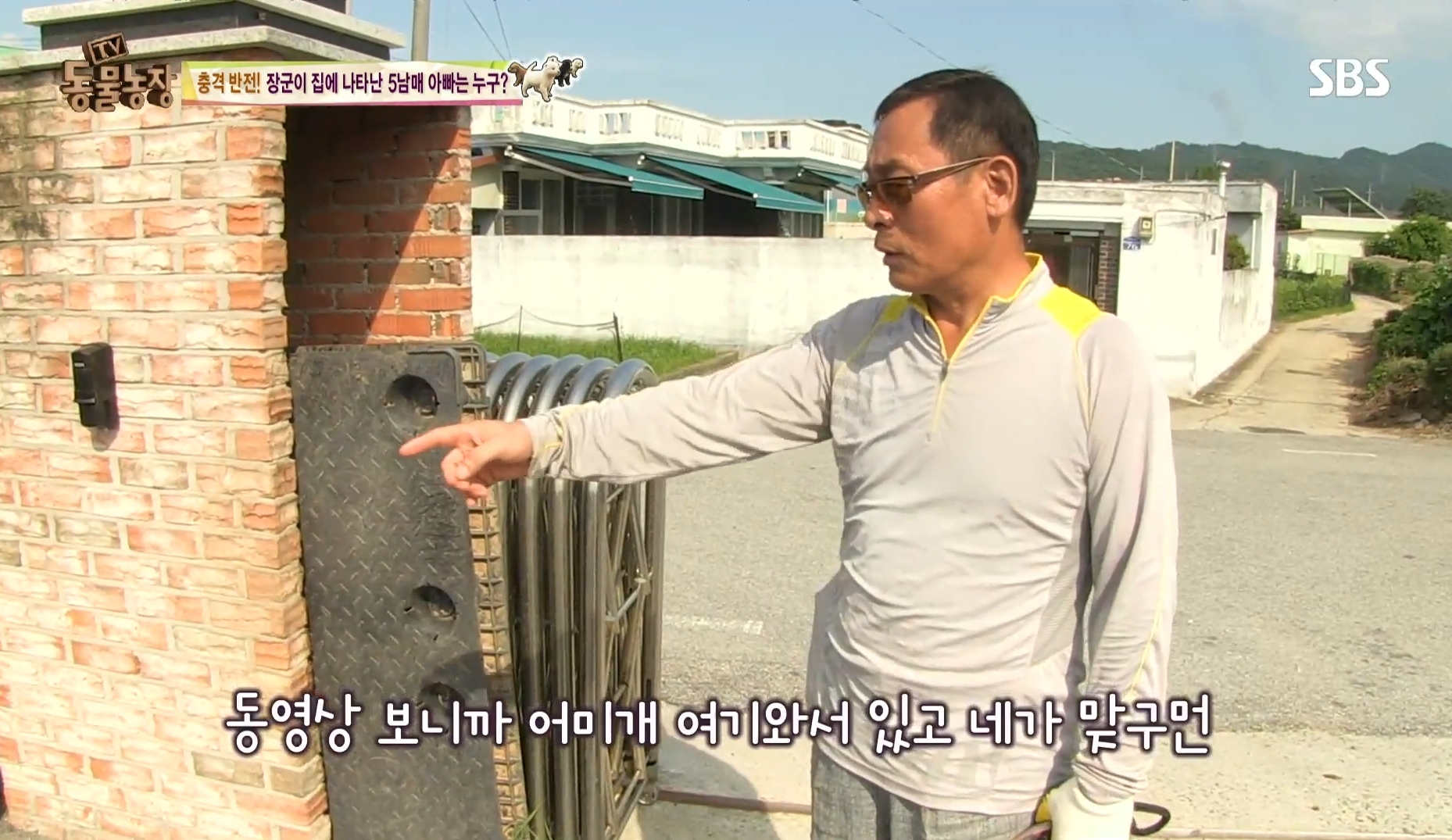 어떤 개가 우리 집에 새끼만 낳아 놓고 안 와요;; 3 | 인스티즈