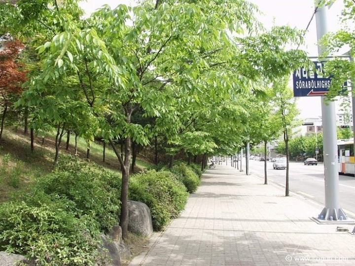 서울특별시 노원구 하계동의 옛 모습.jpg | 인스티즈