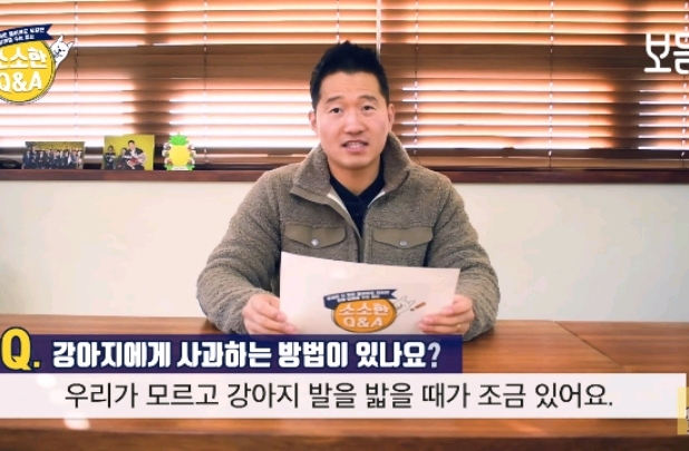 강아지 모르고 쳤을때 사과하는 방법.jpg | 인스티즈