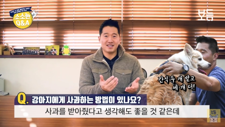 강아지 모르고 쳤을때 사과하는 방법.jpg | 인스티즈