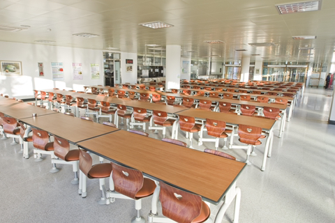 혼밥 레벨 최고 난이도 | 인스티즈