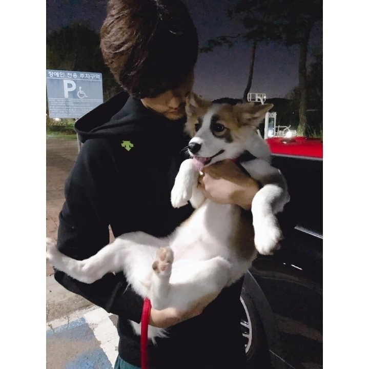 배우 성훈이 입양한 유기견 양희가 가지고 있던 트라우마 | 인스티즈