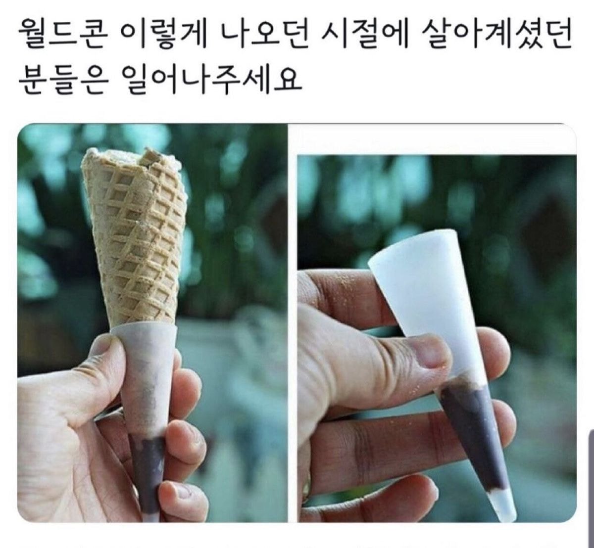 월드콘 이렇게 나오던 시절에 살아계셨던 분들은 일어나주세요 | 인스티즈