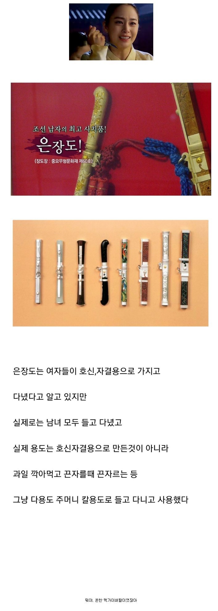 의외로 사람들이 잘못 알고 있는 은장도 용도.jpg | 인스티즈