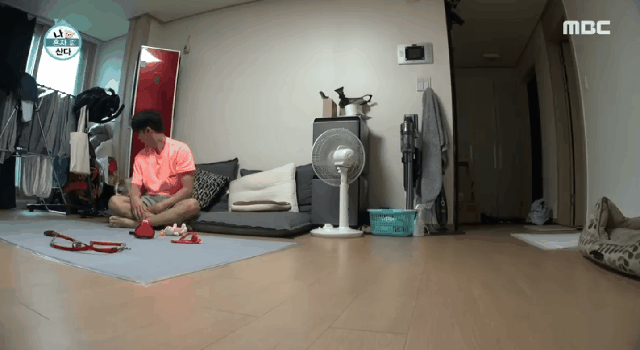 배우 성훈이 입양한 유기견 양희가 가지고 있던 트라우마 | 인스티즈