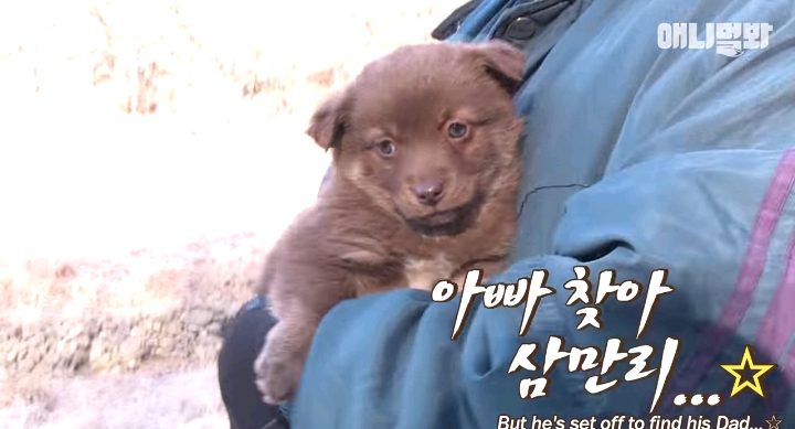 나만 점박이 없어...ㅠ 다른 형아들 다 점박이 있고 나만 없어....ㅜㅜ | 인스티즈