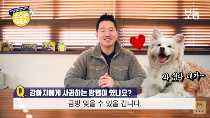 강아지 모르고 쳤을때 사과하는 방법.jpg | 인스티즈