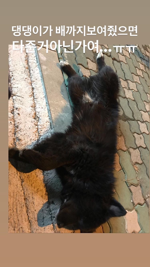 알바하다가 댕댕이들이랑 짱친 먹었던 적 있는데 | 인스티즈