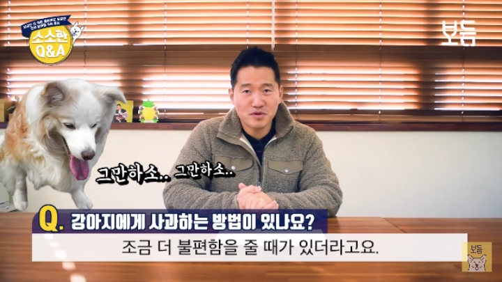 강아지 모르고 쳤을때 사과하는 방법.jpg | 인스티즈