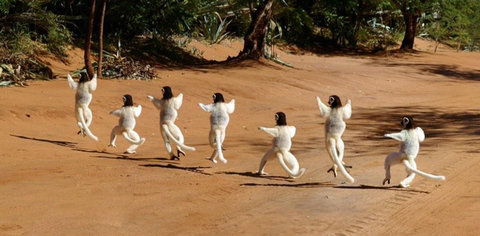하얀 소복 입고 뛰는 한국인인줄 알았는데 | 인스티즈