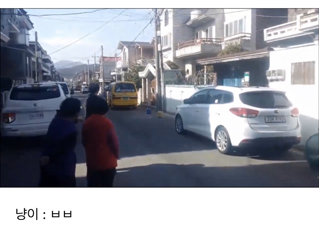 나무 울타리에 낀 냥이 | 인스티즈