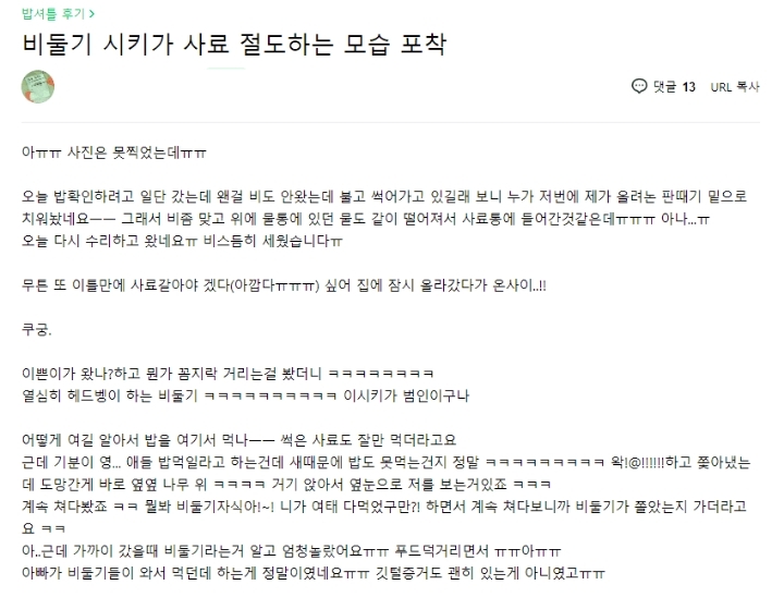 비둘기를 혐오하는 사람들 | 인스티즈