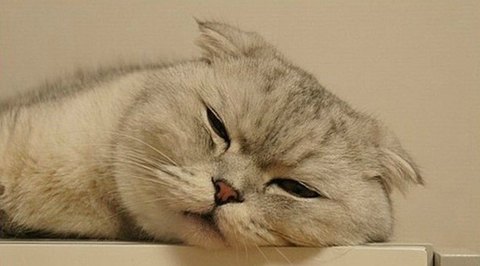 공감 이미지