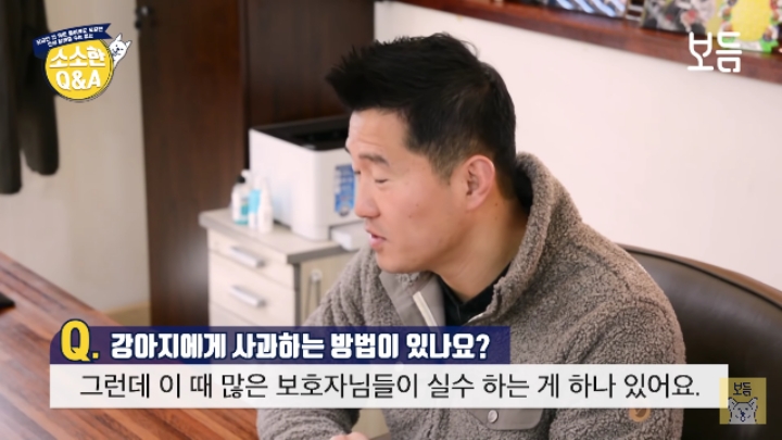 강아지 모르고 쳤을때 사과하는 방법.jpg | 인스티즈