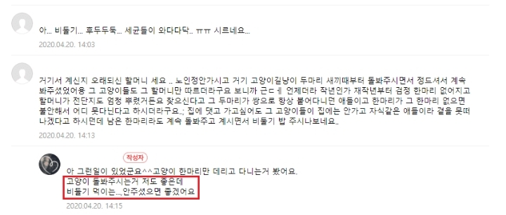 비둘기를 혐오하는 사람들 | 인스티즈