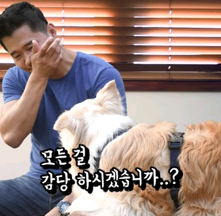 강아지 모르고 쳤을때 사과하는 방법.jpg | 인스티즈