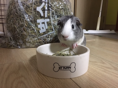 미미밍 이미지