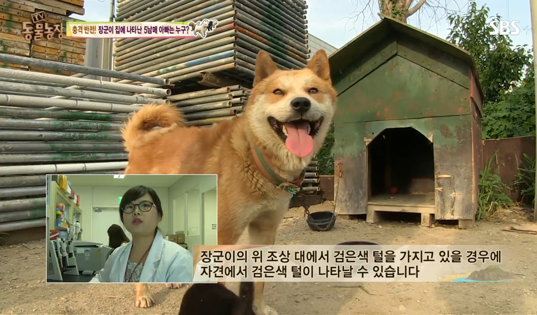 어떤 개가 우리 집에 새끼만 낳아 놓고 안 와요;; 3 | 인스티즈