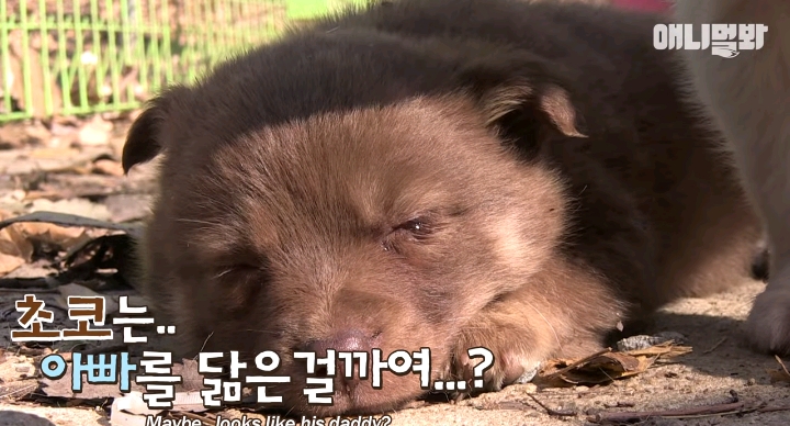 나만 점박이 없어...ㅠ 다른 형아들 다 점박이 있고 나만 없어....ㅜㅜ | 인스티즈