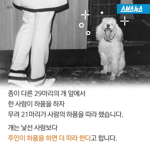 하품을 따라하게 되는 이유 | 인스티즈