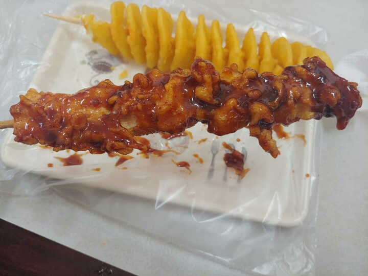 꼬치리아 이미지