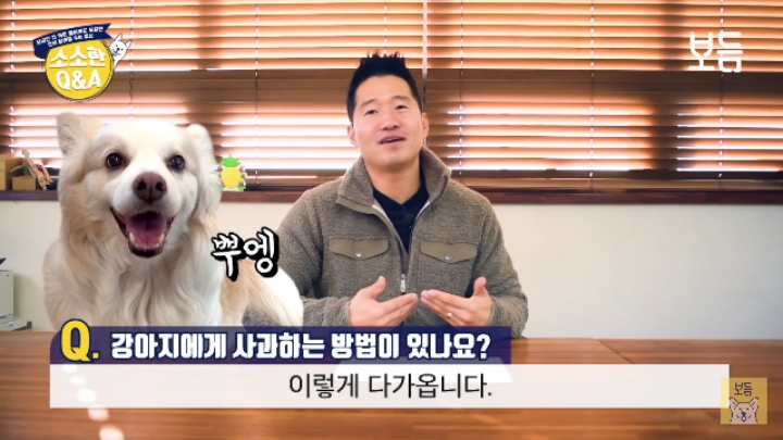 강아지 모르고 쳤을때 사과하는 방법.jpg | 인스티즈