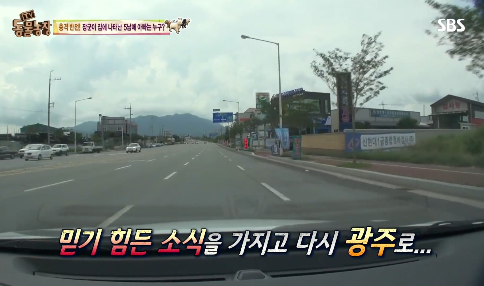 어떤 개가 우리 집에 새끼만 낳아 놓고 안 와요;; 3 | 인스티즈