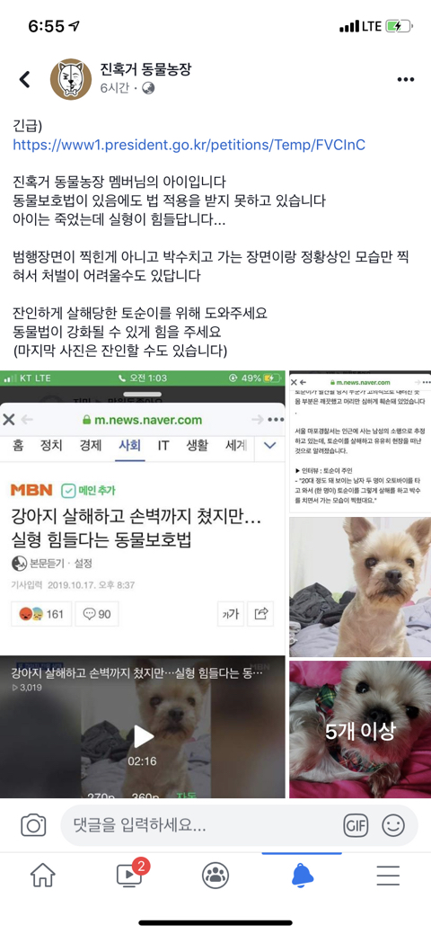 강아지 머리 밟아서 죽인 사람이 실형이 안된대 청원 부탁해(혐오주의) | 인스티즈