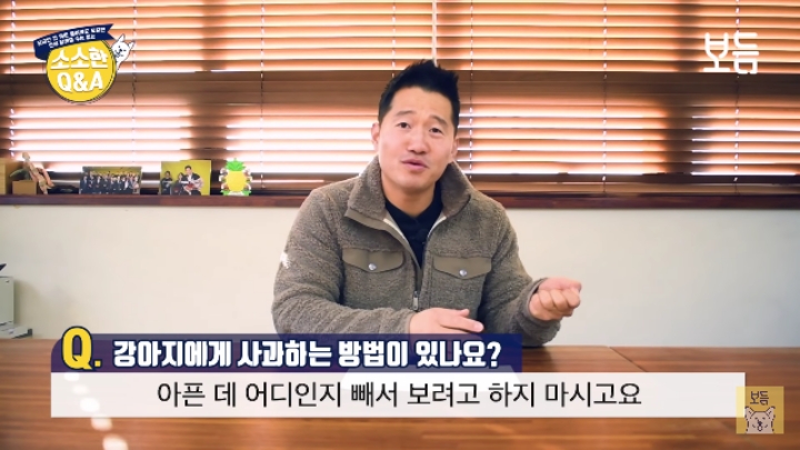 강아지 모르고 쳤을때 사과하는 방법.jpg | 인스티즈