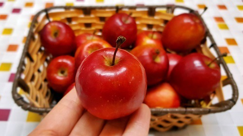 미니사과 jpg | 인스티즈