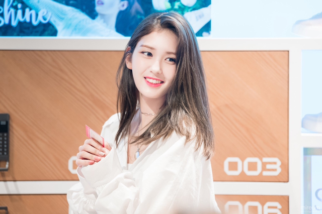 우리나라에서 활동하는 연예인 중 국적이 가장 많은 연예인 | 인스티즈