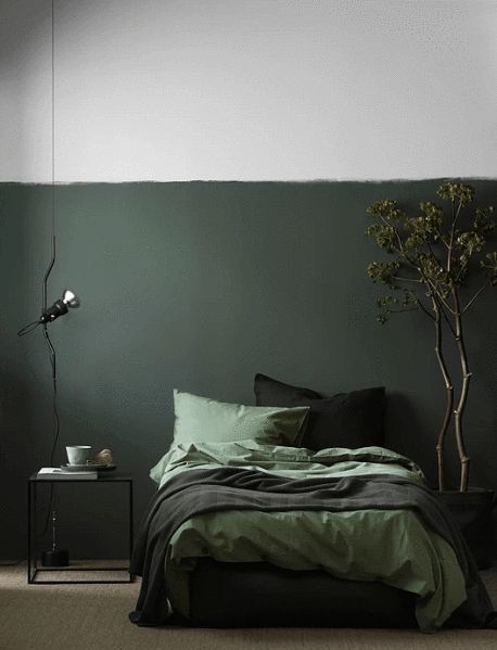 그린을 활용한 컬러 인테리어 | 인스티즈