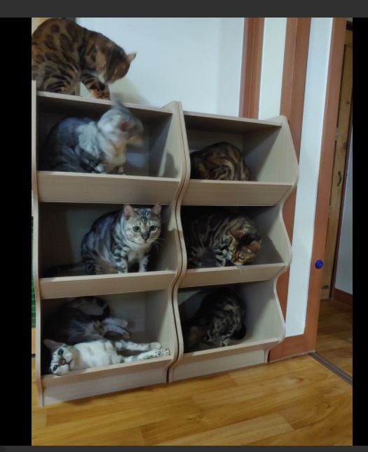 의도 이미지