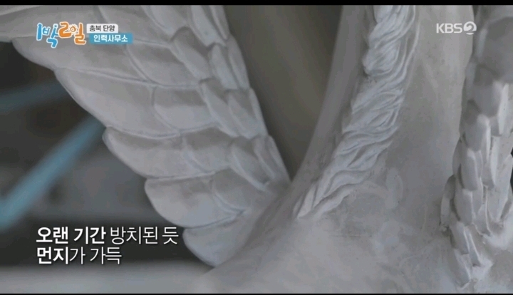 1박2일에 다시 취업한 체험삶의현장 유니콘 | 인스티즈