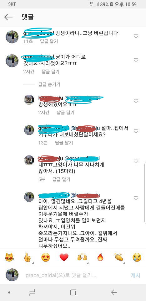한 겨울에 키우던 고양이들을 방생해줬다는 사람 | 인스티즈