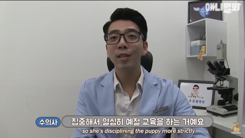 엄마가 차별한다는 비숑댕댕이,, | 인스티즈