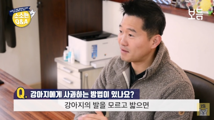 강아지 모르고 쳤을때 사과하는 방법.jpg | 인스티즈