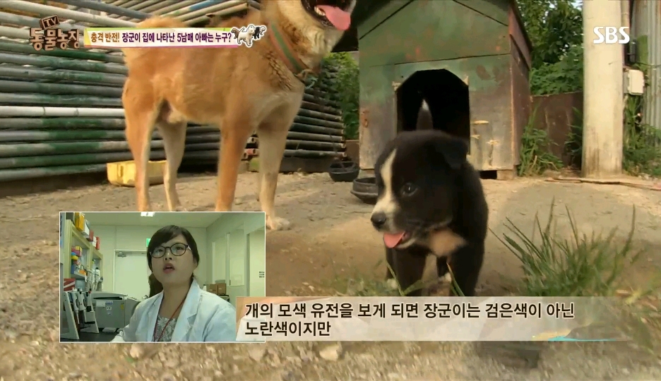 어떤 개가 우리 집에 새끼만 낳아 놓고 안 와요;; 3 | 인스티즈