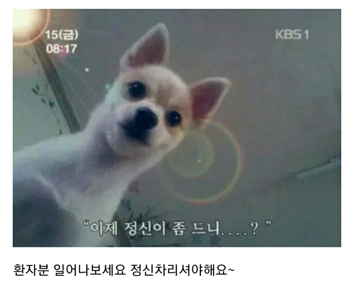 현실과 드라마의 전신마취 차이.jpg | 인스티즈