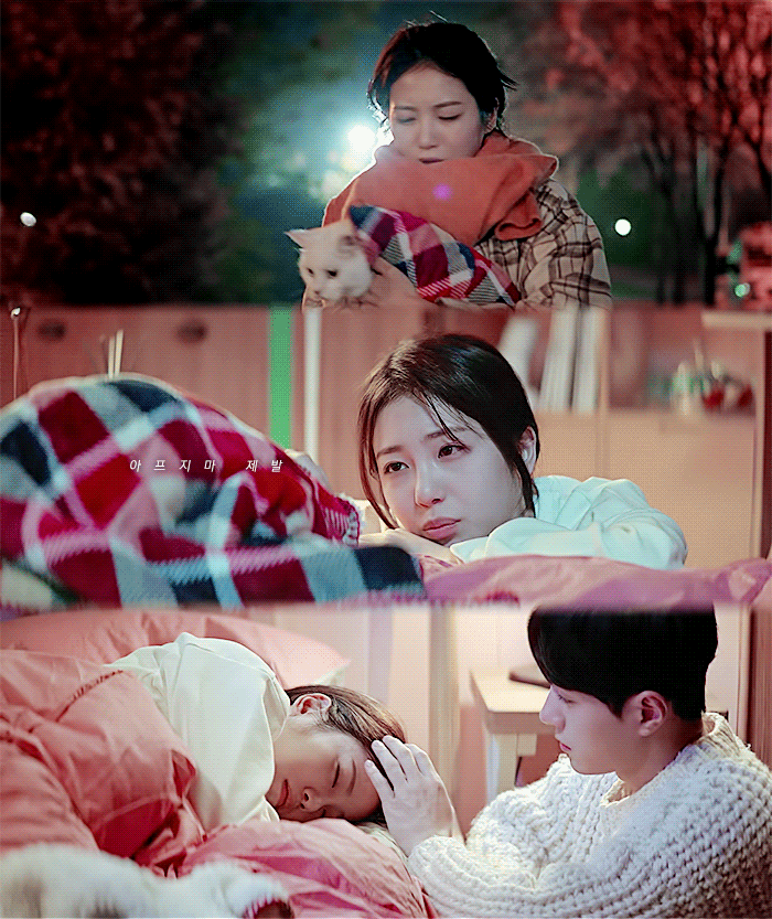 [어서와] 사람 아니고 고양이 X 강아지 아니고 사람.gif | 인스티즈