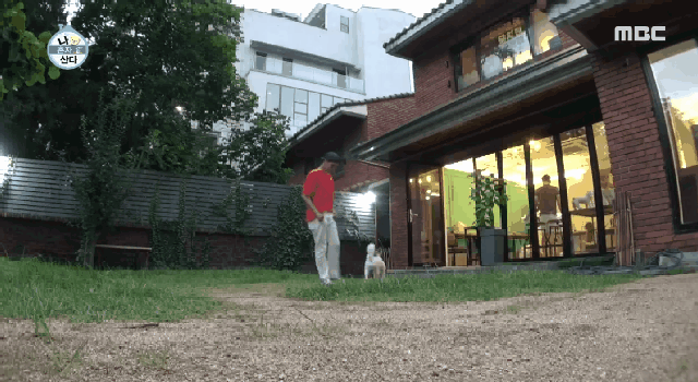 배우 성훈이 입양한 유기견 양희가 가지고 있던 트라우마 | 인스티즈