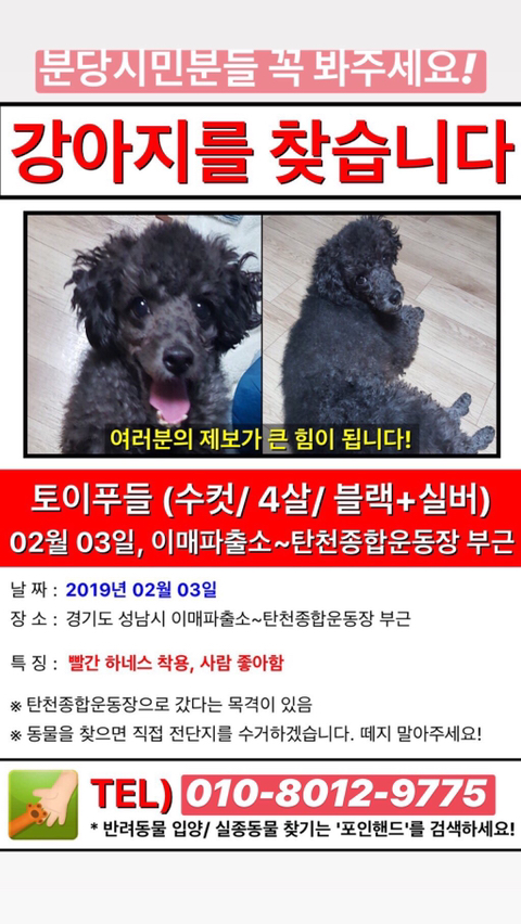 까미 이미지