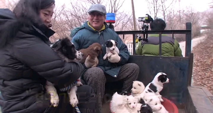 나만 점박이 없어...ㅠ 다른 형아들 다 점박이 있고 나만 없어....ㅜㅜ | 인스티즈