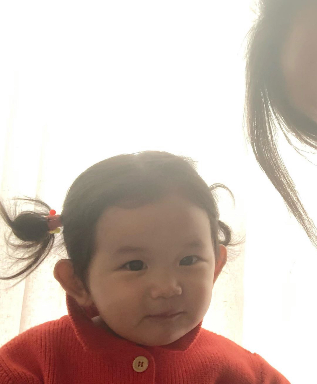 본비 이미지